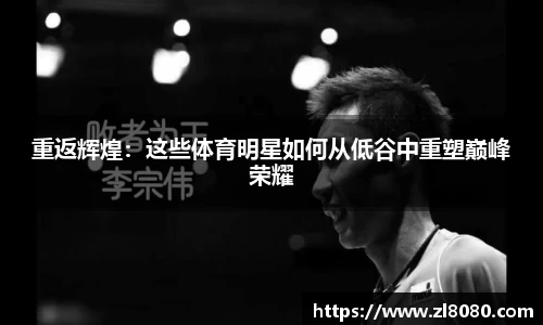 3377体育官网登录