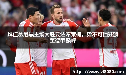 3377体育官网入口