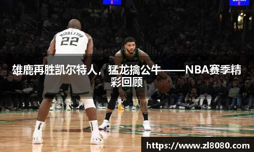 3377体育官网入口
