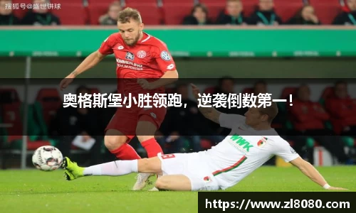 3377体育官网入口
