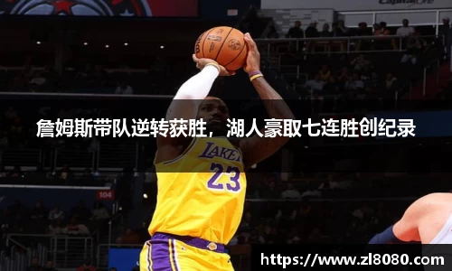 3377体育官网登录