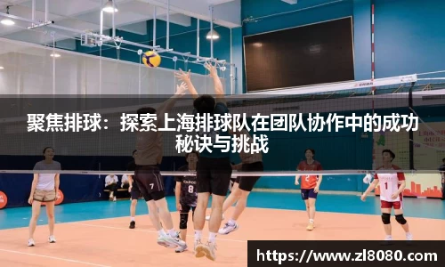 3377体育