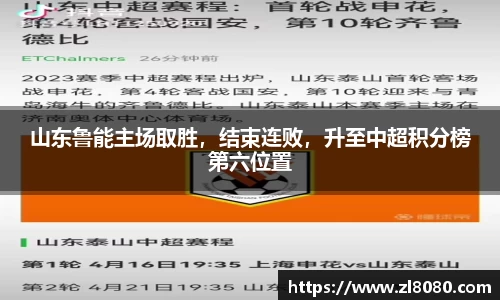 3377体育官网入口